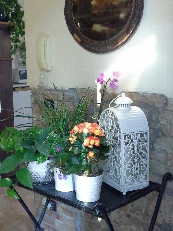 B&B Happiness In The Country ブレシェッロ エクステリア 写真